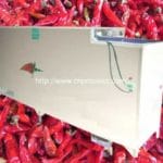 Acier inoxydable Made Chilli machine Tige de coupe