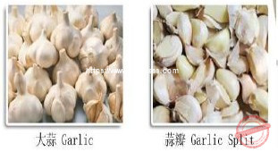 garlic separating machine | Full Automatic Chili Processing Machine ...