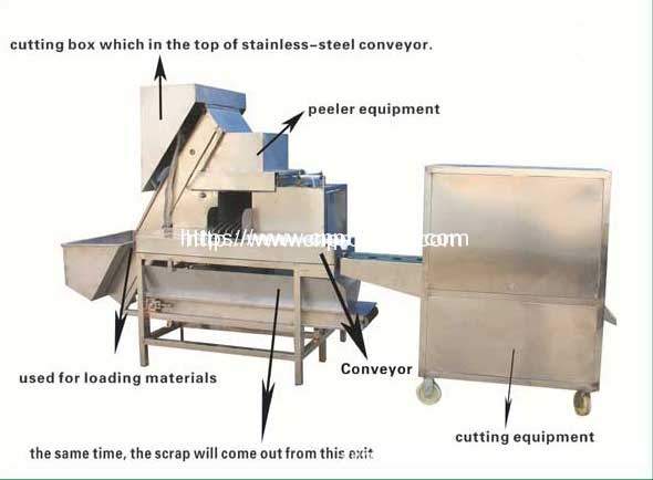 https://www.cnprocess.com/wp-content/uploads/2014/07/Onion-Peeling-Root-Cutter-Machine.jpg