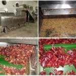 Stainless Steel Chili Seeds Removing Machine