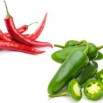 What are Difference of Chili Pepper and Jalapeno